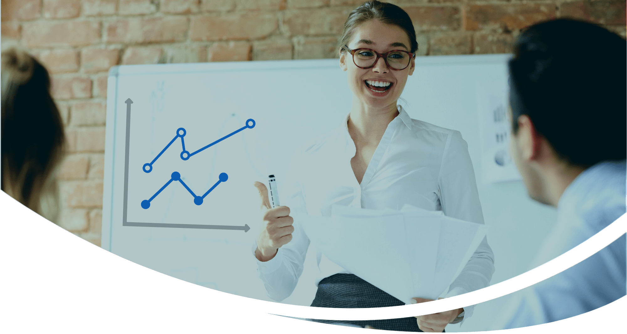 INCUBATION BSDC Training website Material training